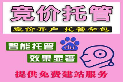 百度竞价托管公司经典案例集锦：策略与实践的完美结合